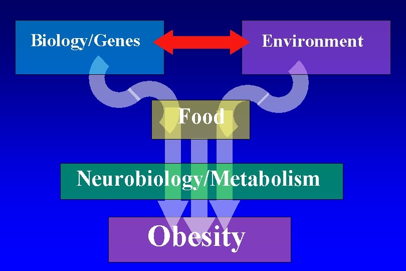 Biology/Genes Environment Food Neurobiology/Metabolism Obesity 