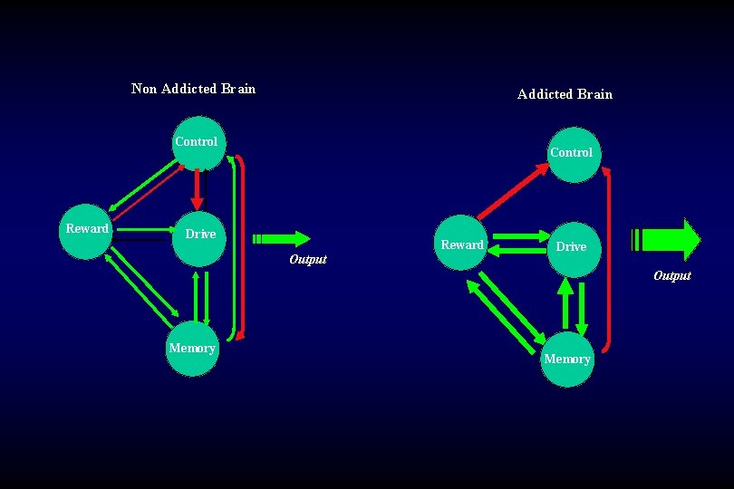 Non Addicted Brain Control Reward Control Drive Reward Output Drive Output Memory 