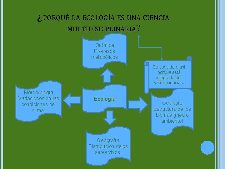 ¿PORQUÉ LA ECOLOGÍA ES UNA CIENCIA MULTIDISCIPLINARIA? Química Procesos metabólicos Se considera así porque