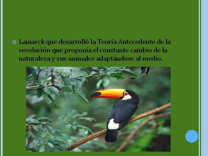  Lamarck que desarrolló la Teoría Antecedente de la revolución que proponía el constante