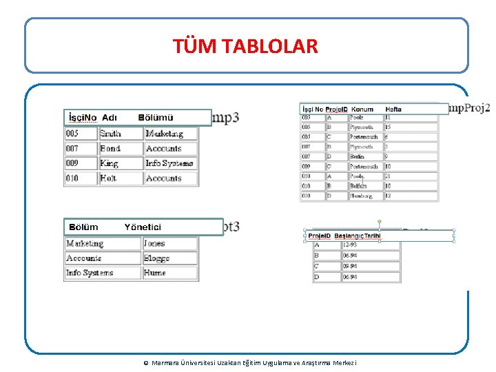 TÜM TABLOLAR © Marmara Üniversitesi Uzaktan Eğitim Uygulama ve Araştırma Merkezi 