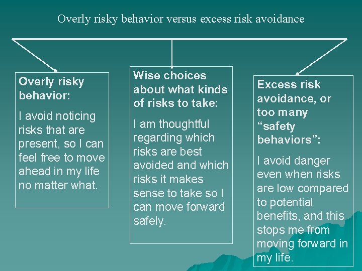 Overly risky behavior versus excess risk avoidance Overly risky behavior: I avoid noticing risks