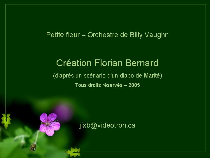 Petite fleur – Orchestre de Billy Vaughn Création Florian Bernard (d'après un scénario d'un