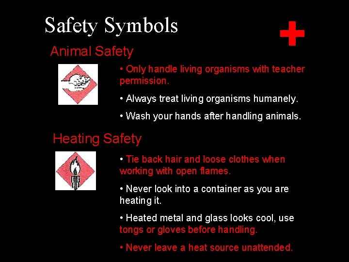 Safety Symbols Animal Safety • Only handle living organisms with teacher permission. • Always