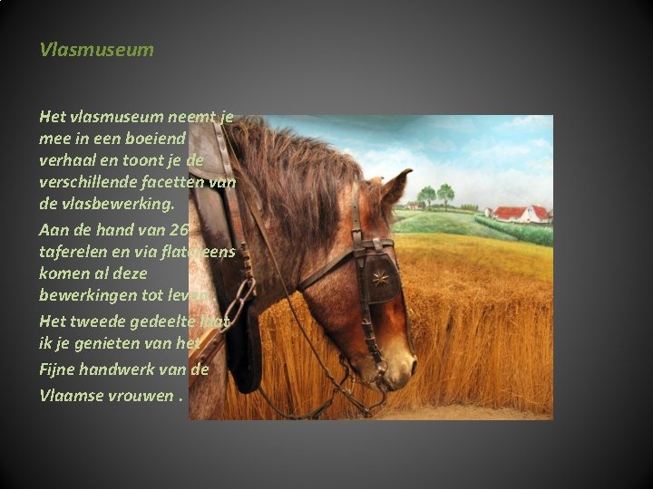 Vlasmuseum Het vlasmuseum neemt je mee in een boeiend verhaal en toont je de