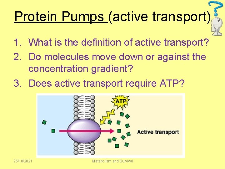 Unit 2 Metabolism and Survival 1 Metabolic pathways