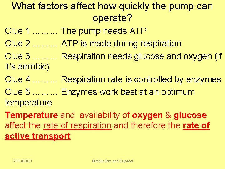 What factors affect how quickly the pump can operate? Clue 1 ……… The pump