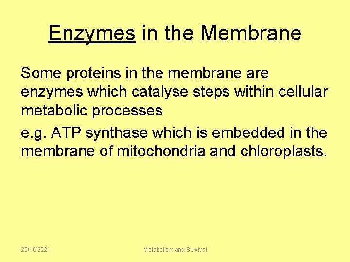 Enzymes in the Membrane Some proteins in the membrane are enzymes which catalyse steps