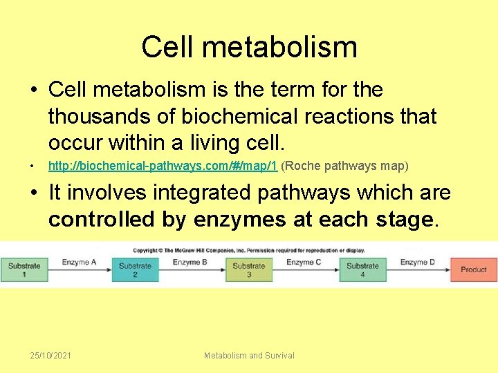 Cell metabolism • Cell metabolism is the term for the thousands of biochemical reactions
