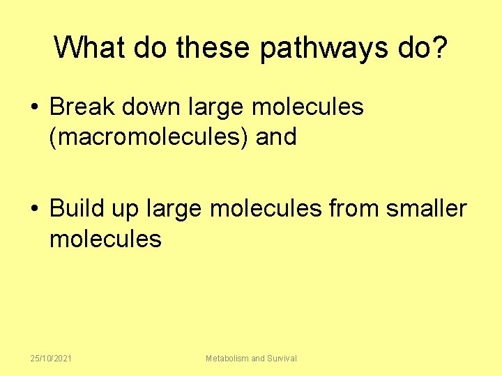 What do these pathways do? • Break down large molecules (macromolecules) and • Build