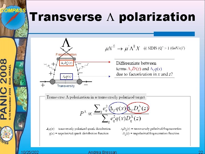 Transverse L polarization 10/25/202 Andrea Bressan 22 