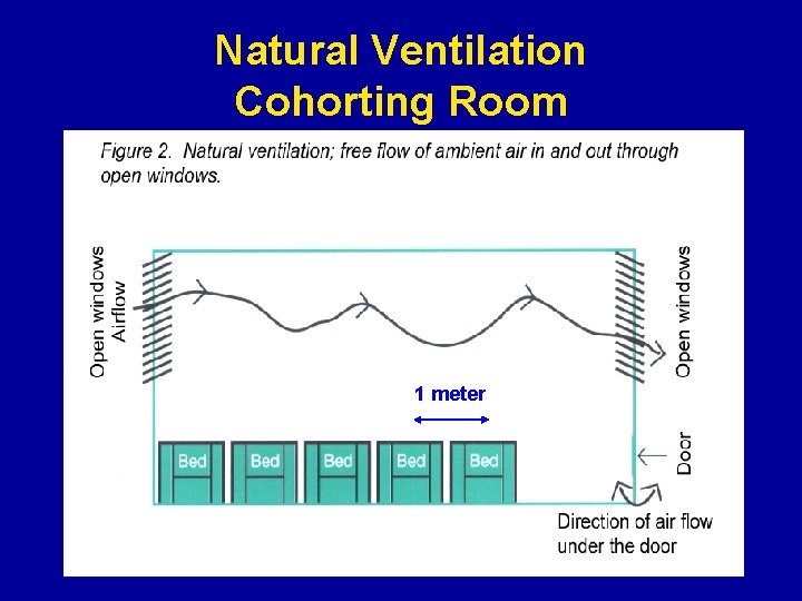 Natural Ventilation Cohorting Room 1 meter 
