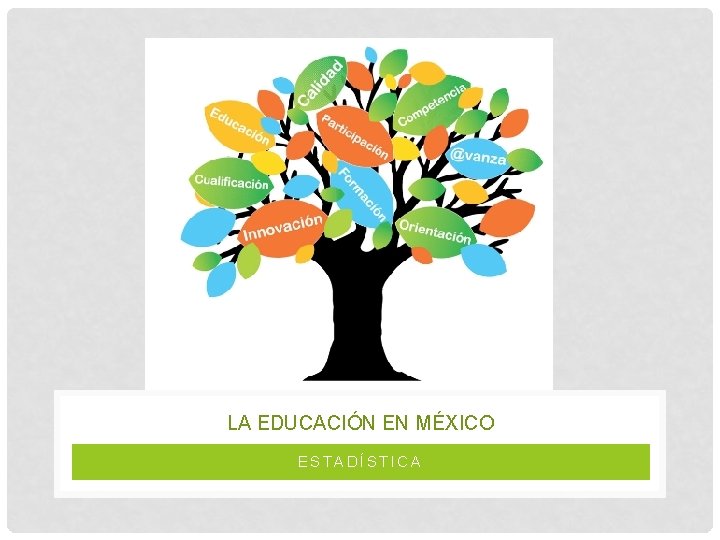 LA EDUCACIÓN EN MÉXICO ESTADÍSTICA 