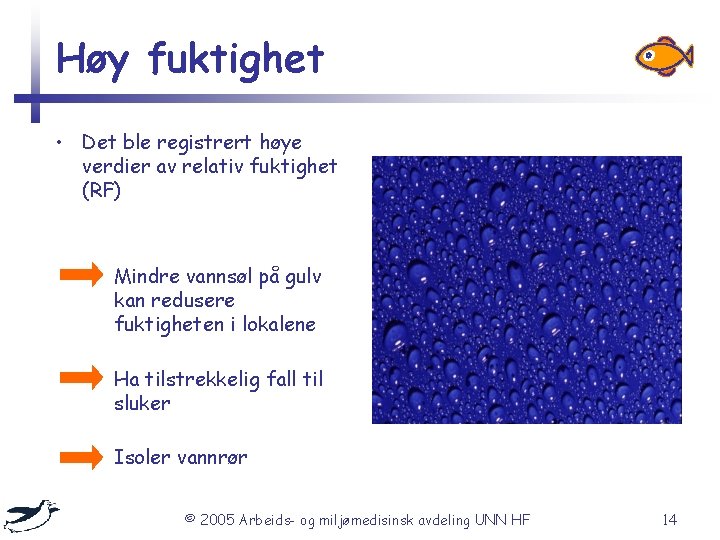 Høy fuktighet • Det ble registrert høye verdier av relativ fuktighet (RF) – Mindre