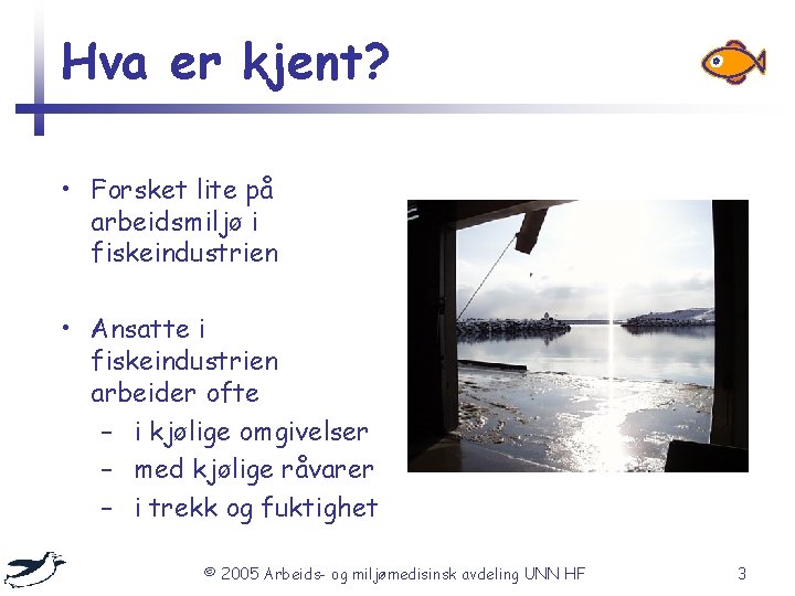 Hva er kjent? • Forsket lite på arbeidsmiljø i fiskeindustrien • Ansatte i fiskeindustrien