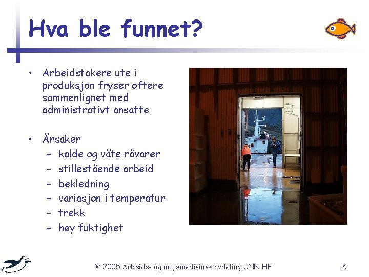 Hva ble funnet? • Arbeidstakere ute i produksjon fryser oftere sammenlignet med administrativt ansatte