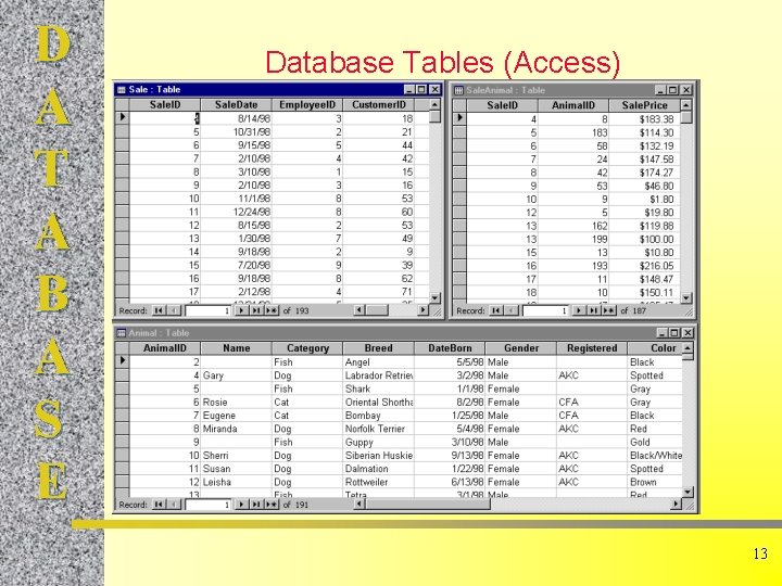 D A T A B A S E Database Tables (Access) 13 