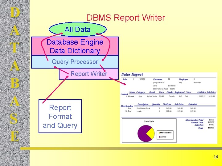 D A T A B A S E DBMS Report Writer All Database Engine