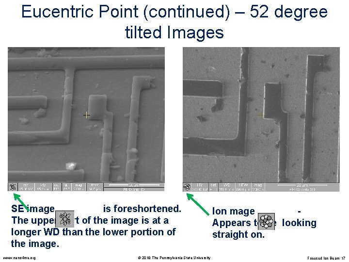 Eucentric Point (continued) – 52 degree tilted Images SE image is foreshortened. The upper