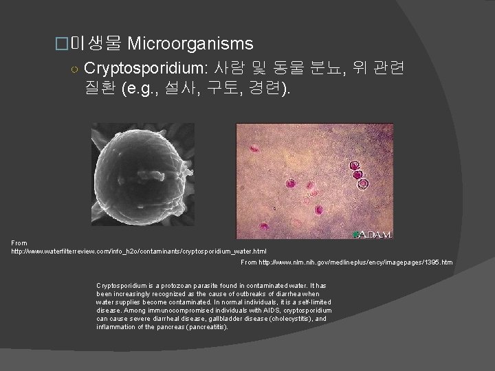 �미생물 Microorganisms ○ Cryptosporidium: 사람 및 동물 분뇨, 위 관련 질환 (e. g. ,