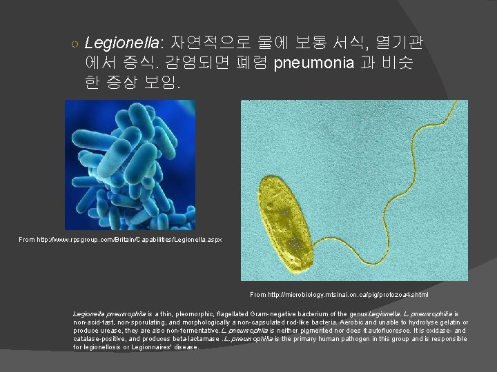 ○ Legionella: 자연적으로 물에 보통 서식, 열기관 에서 증식. 감염되면 폐렴 pneumonia 과 비슷