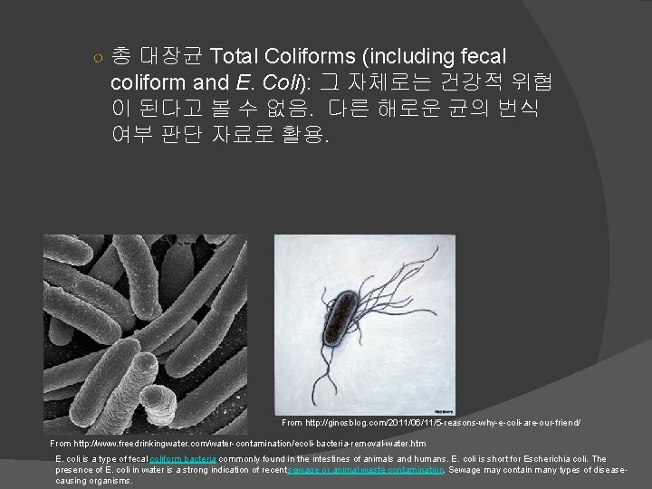 ○ 총 대장균 Total Coliforms (including fecal coliform and E. Coli): 그 자체로는 건강적