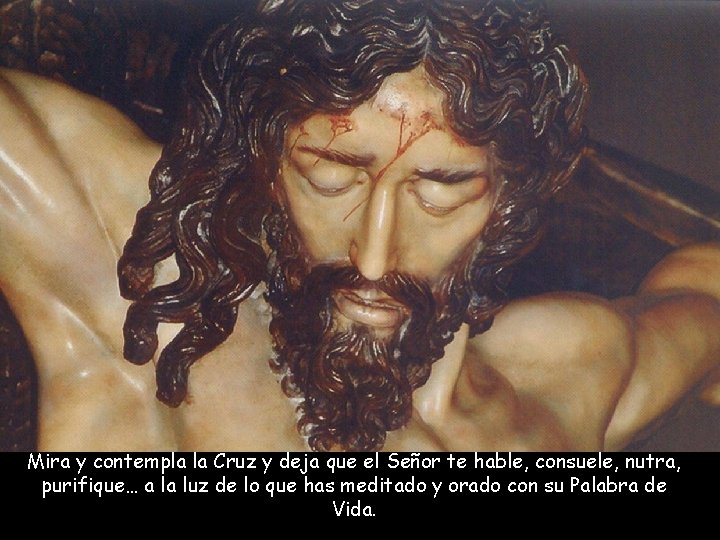 Mira y contempla la Cruz y deja que el Señor te hable, consuele, nutra,