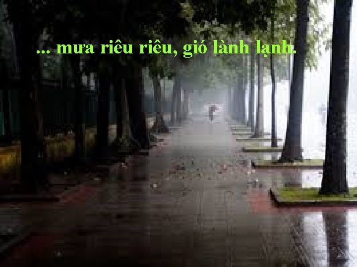 . . . mưa riêu, gió lành lạnh. 