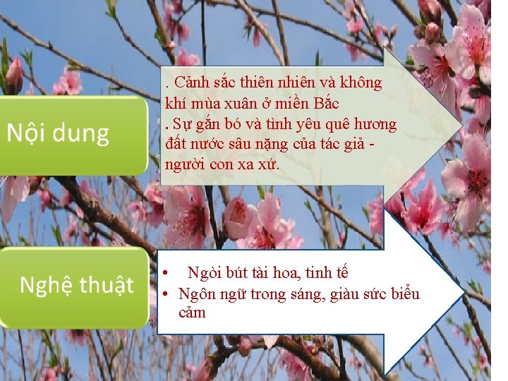 . Cảnh sắc thiên nhiên và không khí mùa xuân ở miền Bắc. Sự