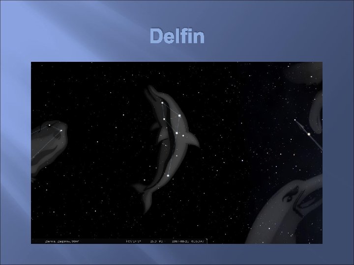 Delfin 