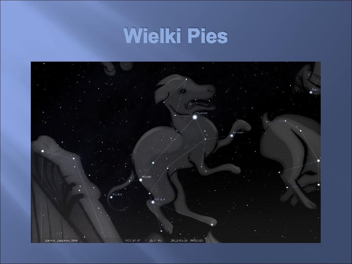 Wielki Pies 