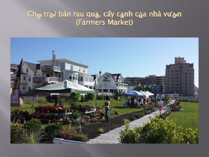 Chợ trời bán rau quả, cây cảnh của nhà vườn (Farmers Market) 