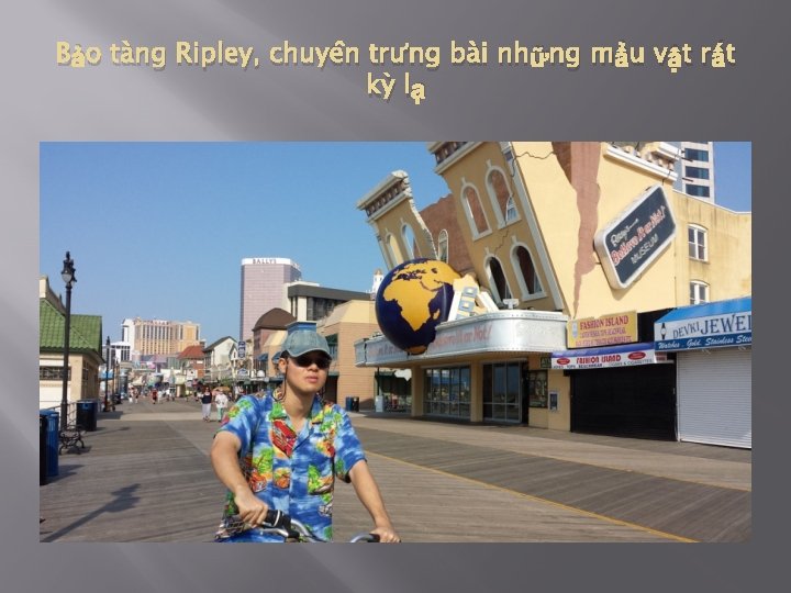 Bảo tàng Ripley, chuyên trưng bài những mẩu vật rất kỳ lạ 