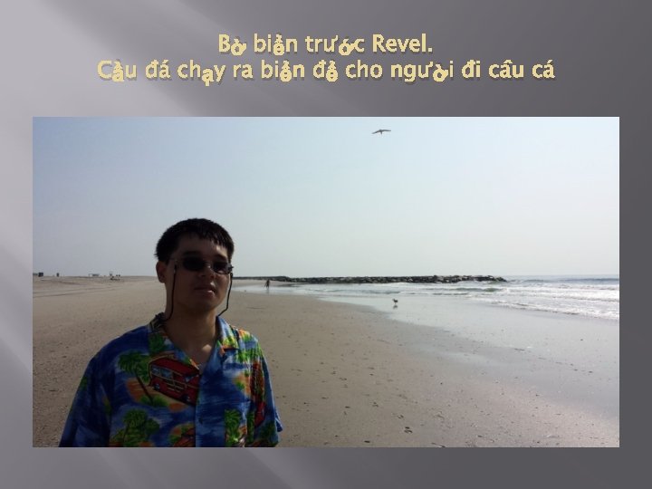 Bờ biển trước Revel. Cầu đá chạy ra biển để cho người đi câu