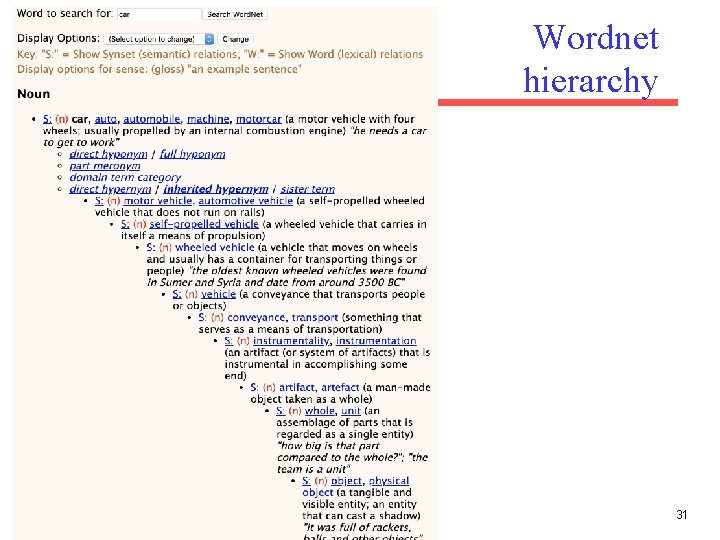 Wordnet hierarchy 31 