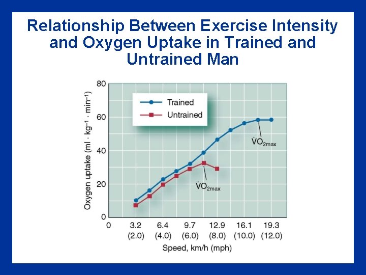Relationship Between Exercise Intensity and Oxygen Uptake in Trained and Untrained Man 
