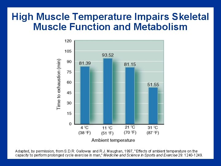 High Muscle Temperature Impairs Skeletal Muscle Function and Metabolism Adapted, by permission, from S.