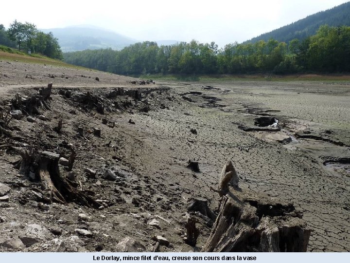 Le Dorlay, mince filet d’eau, creuse son cours dans la vase 