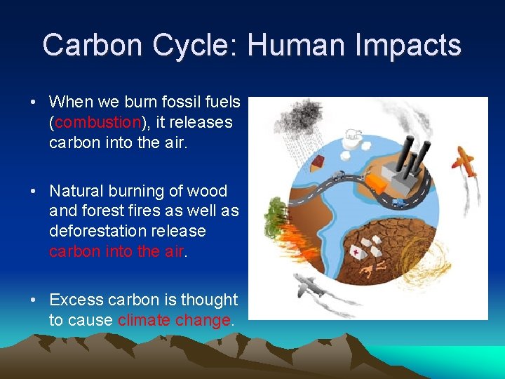 Carbon Cycle: Human Impacts • When we burn fossil fuels (combustion), it releases carbon