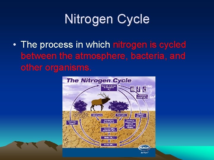 Nitrogen Cycle • The process in which nitrogen is cycled between the atmosphere, bacteria,