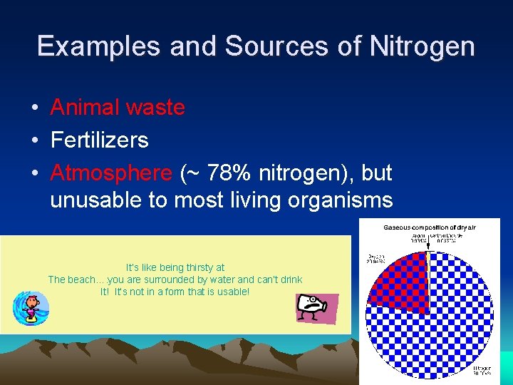 Examples and Sources of Nitrogen • Animal waste • Fertilizers • Atmosphere (~ 78%