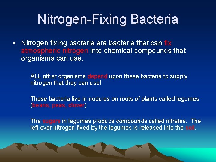 Nitrogen-Fixing Bacteria • Nitrogen fixing bacteria are bacteria that can fix atmospheric nitrogen into