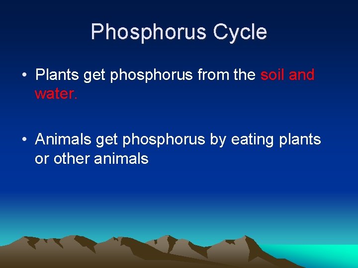 Phosphorus Cycle • Plants get phosphorus from the soil and water. • Animals get
