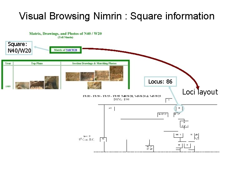 Visual Browsing Nimrin : Square information Square: N 40/W 20 Locus: 86 Loci layout