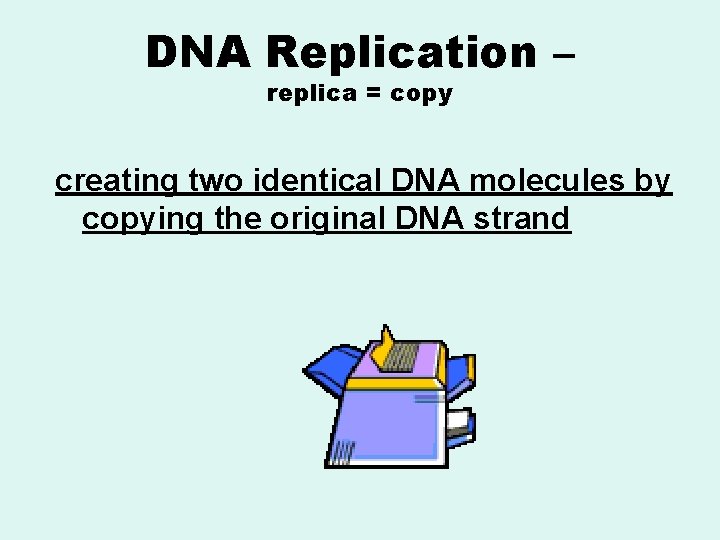 DNA Replication – replica = copy creating two identical DNA molecules by copying the