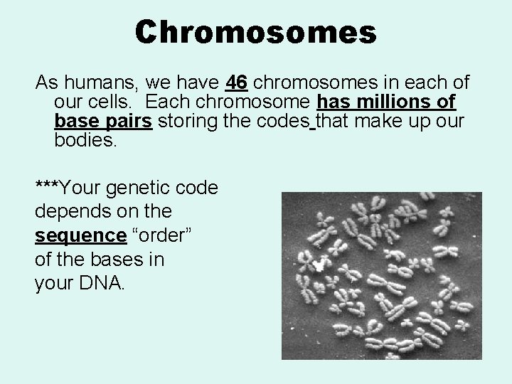 Chromosomes As humans, we have 46 chromosomes in each of our cells. Each chromosome