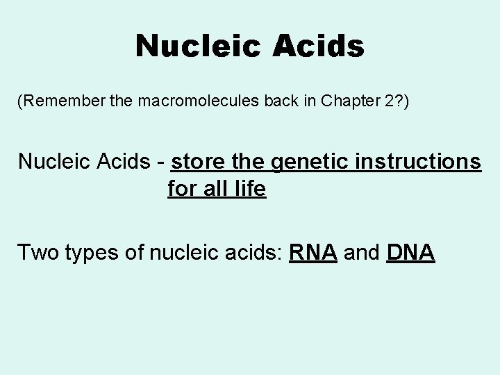 Nucleic Acids (Remember the macromolecules back in Chapter 2? ) Nucleic Acids - store