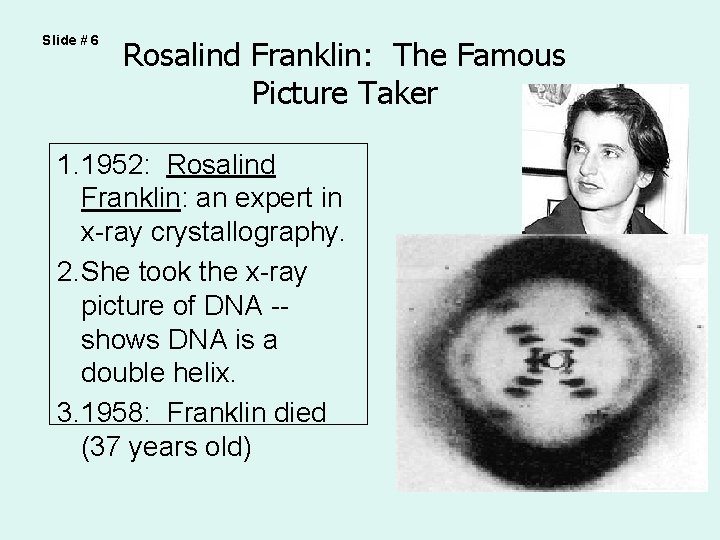 Slide # 6 Rosalind Franklin: The Famous Picture Taker 1. 1952: Rosalind Franklin: an