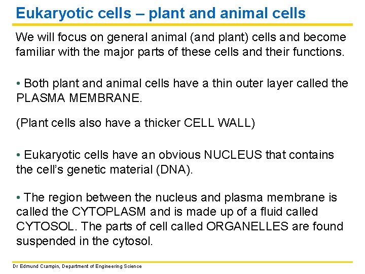 Eukaryotic cells – plant and animal cells We will focus on general animal (and