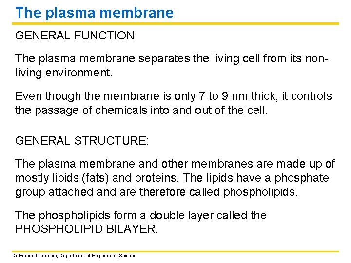 The plasma membrane GENERAL FUNCTION: The plasma membrane separates the living cell from its